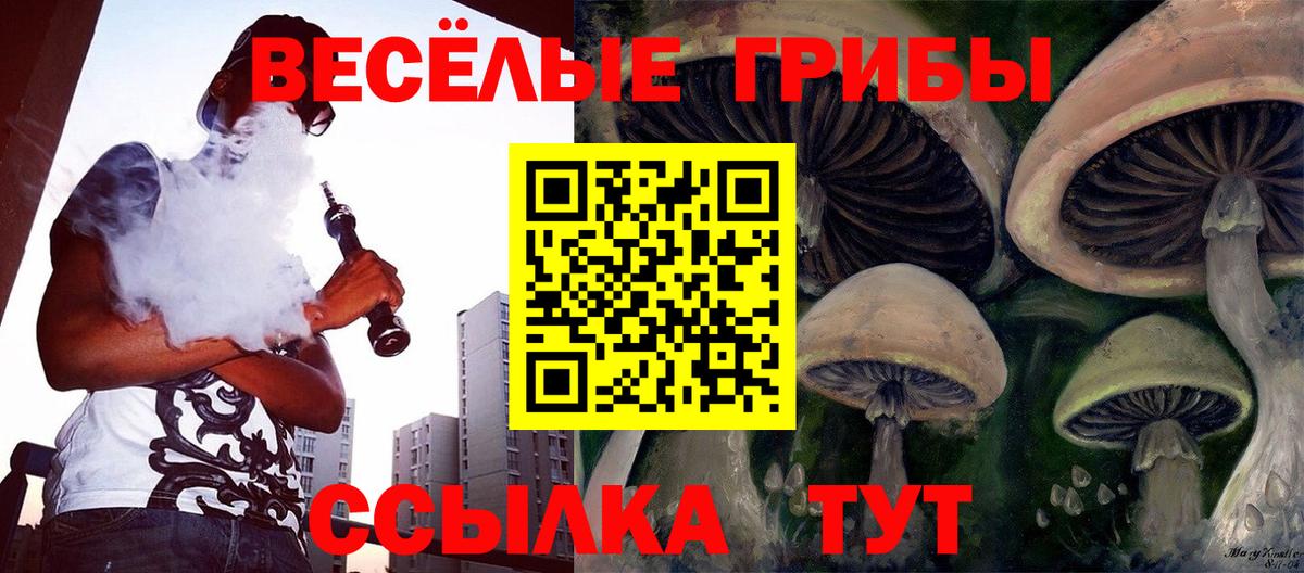 Дальнегорск  Галлюциногенные грибы прущие грибы  Вход с VPN  Галлюциногенные грибы мицелий 